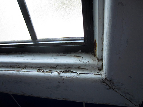 Damp window sill within a shower recess will attract termites Damp window sill within a shower recess will attract termites