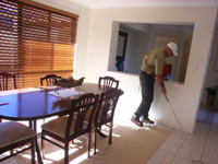House pest inspection