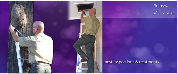 Pest Inspections Northern New South Wales Tweed Heads Ballina to the Queensland border