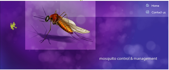 Sanctuary Pest Contact details Pest Control Ballina