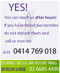 Phone Sanctuary Pest now on 0414 769 018 or Byron Shire 02 6685 4490