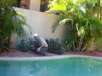 Pool Area Pest inspection