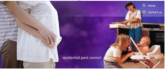 Pest Control Ballina Lismore Murwillumbah Byron Bay Mullumbimby