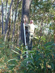 Termite Inspection