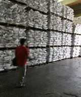 Warehousing Pest Treatments and Control Programs